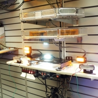4 Types of Amber LED Lights